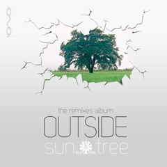 Suntree -Back To The Source (Egorythmia & Dual Resonance Remix) Sample