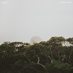 Vittoria Fleet - Acht