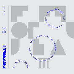 Florian Gasperini - Sunday2pm - SCI+TEC