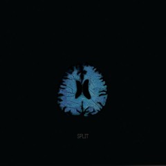 Split (Melorman Rmx)