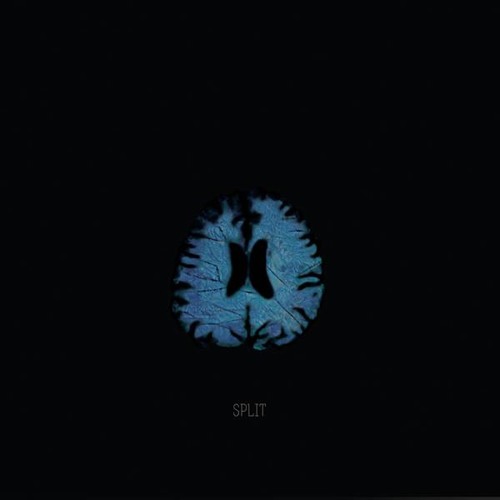 Split (Pleq Rmx)