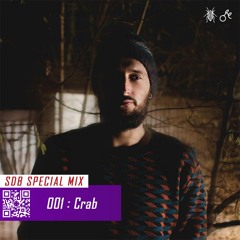 Sunday Bug Special: 001 Crab