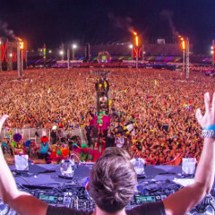 Hardwell - Live @ Electric Daisy Carnival  EDC Las Vegas 2013