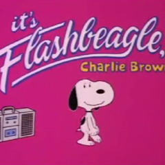 FlashBeagle