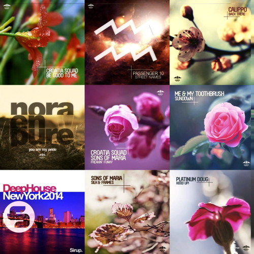 Enormous Tunes 2 (Continuous DJ Mix By William Forest)