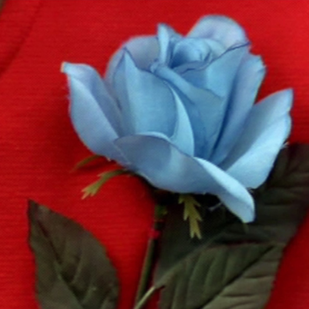 artworks-000071341980-vo89sb-