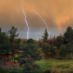 Windwood Noise - Bleeding Fingers Contest