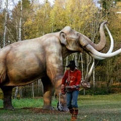 Little Lilly Mammoth Hair