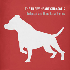 The Harry Heart Chrysalis: You Are Not A Rarity