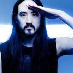 STEVE AOKI