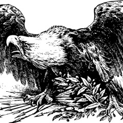 War Eagle | Raisi K.