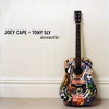 joey-cape-tony-sly-violet-with-drum-track-yeticote