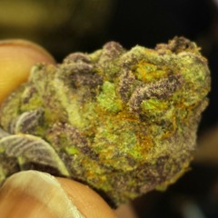 Intro - Ight Doe Freestyle