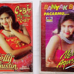 Nelly Agustin - Cubit Tak Mau Dicubit (Audio OK)
