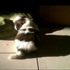 That woman~accapella at Bath room kkk