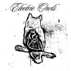 Electric Owls - Magic Show