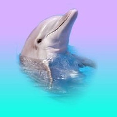 Wave Racer - Triple J Exclusive Mixtape