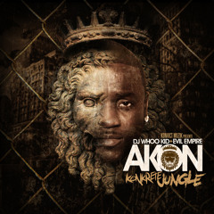 Akon - Salute 100 Ya'll (feat. Fabolous & Money J)