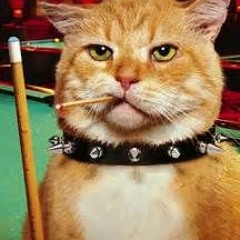 Herr Tweakin Von Kittenschnitzel