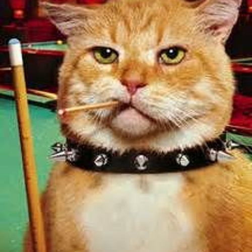 Herr Tweakin Von Kittenschnitzel