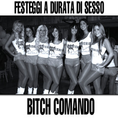 Bitch Comando / Festeggi A Durata Di Sesso Pt.2, Pt.3