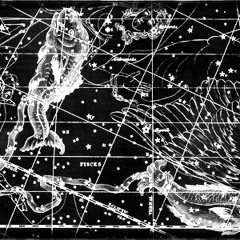 Pisces feat. Cicely Parnas