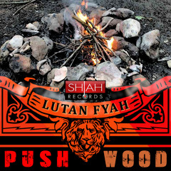 Lutan Fyah - Push Wood [Shiah Records 2014]