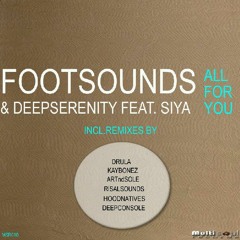 All For You (Drula Soulful Mix)
