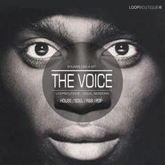The Voice (Soulful Vocal Samples)