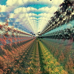 Wicked Dreams