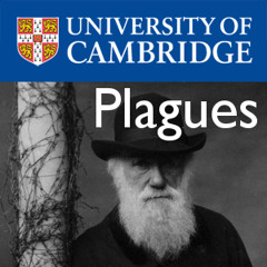 Plagues, Populations & Survival