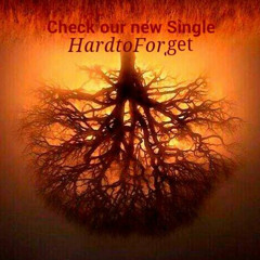 Hard To Forget - Never Ending Story (Single)