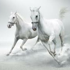 White Horse Dj BrainREK Remix