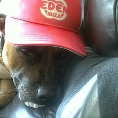 Let Me See Your Bass Face Vol 6