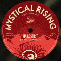 HAILE SPIRIT + HAILE DUB  -  VINYL MYSTICAL RISING  MR1203 B