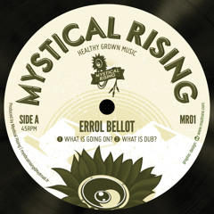 Errol Bellot  -  What is going on ?  +  What is dub ?