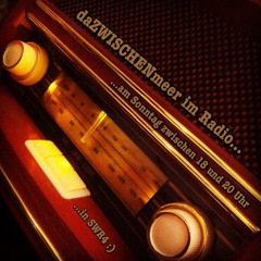 Radiobeitrag über daZWISCHENmeer in SWR4 "Musik aus dem Land", 18.02.2014