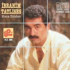 Ben İnsan Değilmiyim
