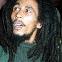 Freedom Walk (Bob Marley Mix)