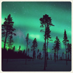 Jolly Forest (159bpm) [WAV FREE DOWNLOAD]