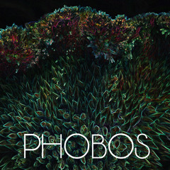 Phobos IV