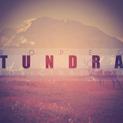 Tundra (original Mix)