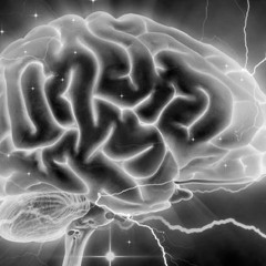 Backdrop live in NYC Jan 2014