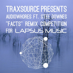 Audiowhores Ft Stee Downes - Facts (ludendorff Rmx)
