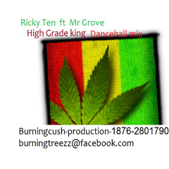 High Grade Fram -Ricky Ten ft Mr Grove-Firetreezz[R] Dancehall Mix