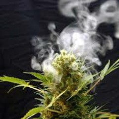 Anarkydread-Ganjah (con los ojos rojos)