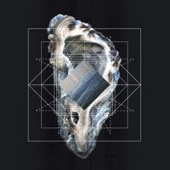 codivide - From What I Gain