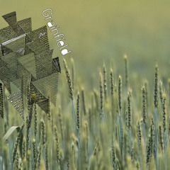 Scotia (Studio Snippet)