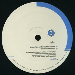 André Galluzzi & Paul Brtschitsch - Schneesturm - (Plus 8 Records Ltd) 2001