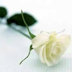 Deseo Para Ti-Trono de Mexico